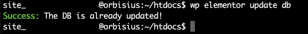 Wp Cli Elementor Db Update